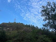 -白水寺森林公园