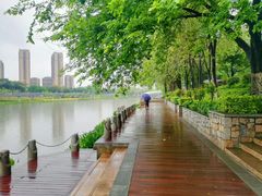 -怡海公园(桂城街道)