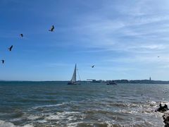 -商业广场(Praça do Comércio)