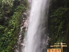 -莫里热带雨林景区
