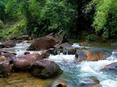 -广州白江湖森林公园