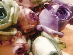 -深圳威尼斯英迪格酒店