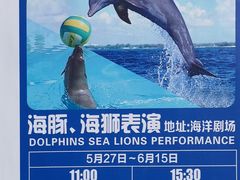 -秦皇岛乐岛海洋王国