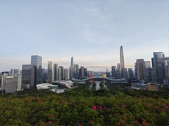 -莲花山公园
