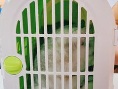 -申普宠物医院·心脏介入·心血管微创(总院)