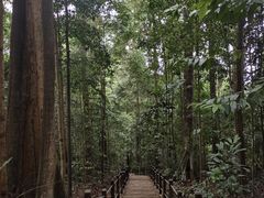 -武吉知马自然保护区