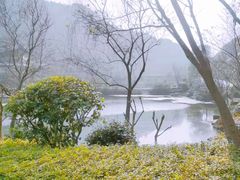 -桃花岭景区