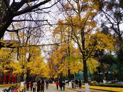 -四川大学(华西校区)