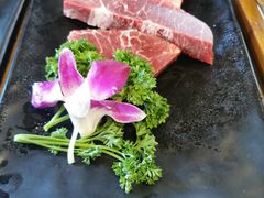 -唯成•韩国炭火烤肉 유성고기