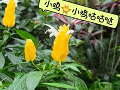 -国家植物园