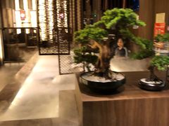 大堂-湊湊火锅·茶憩(世博大道店)