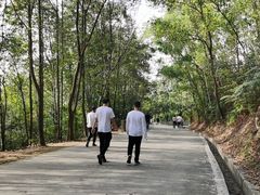 -中山市树木园