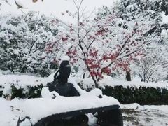 -云龙山