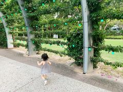 -布里斯班南岸公园