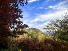-丹山赤水风景名胜区