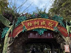 -瑞丽独树成林风景区