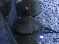 -临沂极地海洋王国