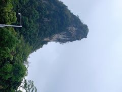 -靖西鹅泉风景区