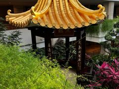 -广州白天鹅宾馆