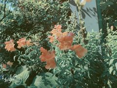 -上海吴淞炮台湾国家湿地公园