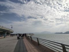 -演武大桥观景平台