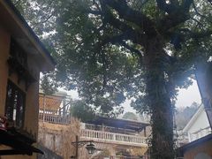 -杭州西湖风景名胜区-满觉陇四眼井