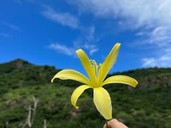 -妙峰山风景名胜区