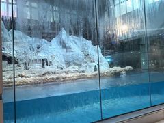 -帝企鹅自助餐厅•儿童岛•真企鹅(长隆企鹅酒店)