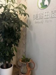 -美丽田园