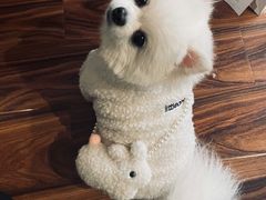 -comecome来吧宠物(奥克斯中心店)