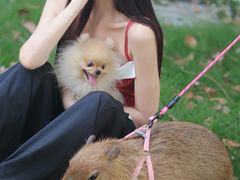 -J Create城市露营咖啡·简餐·宠物(上海动物园店)