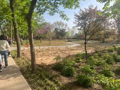 -洛阳市隋唐城遗址植物园
