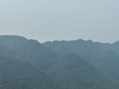 -南山植物园