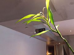 -渝半城经典川粤菜(重庆天地店)