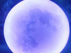 -天津梵高星空艺术馆(天河城旗舰店)