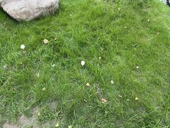 -苏州香山国际大酒店