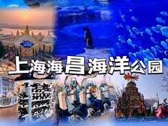 -上海海昌海洋公园