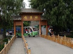 -白洋淀景区