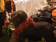 -吉祥圣雪藏餐