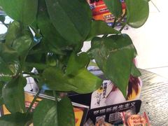 -梵猫·新养生(加州广场店)