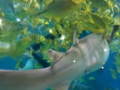 -常州海昌海洋探索馆
