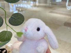 -金鹰国际购物中心(江都店)