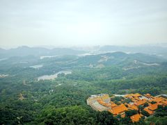 -梧桐山风景名胜区