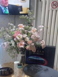 -薇薇安花系SPA