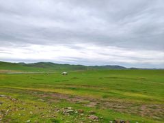 -贡格尔草原