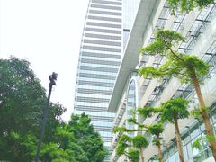 -广州当代美术馆