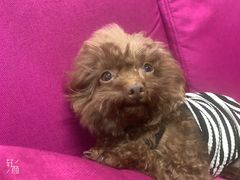 -香滨园骨架王(民生路店)