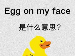 -引领英语·成人口语·雅思托福