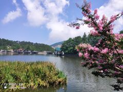 -庐山风景区花径公园