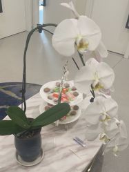 -海涛医疗美容·面部抗衰·注射美鼻